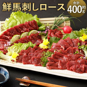 yӂ邳Ɣ[ŁzNnh[X v400g 90g×4`6pbN  1{ 50ml n nh hg ubN n  [X ^ Ⓚ  yVX[p[SALE 9J