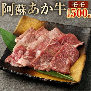 yӂ邳Ɣ[Łzh  v500gi100g×5܁jBY F{Y Y Y        ē Ⓚ  O B F{ Ǒ 