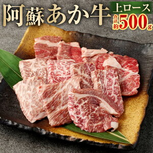 yӂ邳Ɣ[Łz h ネ[X 500g i100g×5܁jBY F{Y Y Y h     [X ~ ~ ē Ă Ⓚ F{ Ǒ 