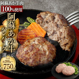 【ふるさと納税】【選べる 容量】 阿蘇あか牛 ハンバーグ 100g×2個/100g×7個/150g×5個 （合計約200g/約700g/約750g） セット 牛肉100% 九州産 熊本県産 国産 国産牛 阿蘇 あか牛 牛肉 肉 お肉 ビーフ 生ハンバーグ 冷凍 熊本県 相良村 送料無料