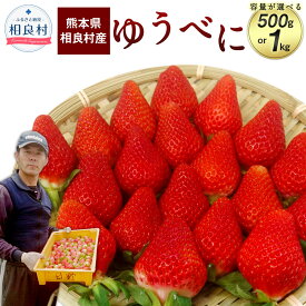 【ふるさと納税】＜選べる容量＞ 相良村産 いちご「ゆうべに」 合計約500g 約250g×2パック または 合計約1kg 約250g×4パック 日野農園 熊本県産 フルーツ イチゴ 苺 送料無料【2024年12月上旬～2025年4月下旬発送予定】