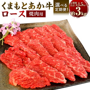 yӂ邳Ɣ[ŁzyIׂ 3^6zyGIF؁z܂Ƃ [X ēp 500g×1 v1.5kg v3kg  ԋ  a   [X Ԑg XCX Ă ₫ɂ BBQ o