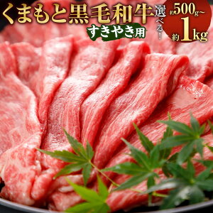 yӂ邳Ɣ[ŁzIׂ eʁ܂ƍјa ₫p 500g/1kg 1000g uh a јa F{Y BY Y  XCX јa   Ă Ă Ⓚ 
