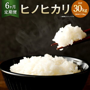 yӂ邳Ɣ[Łzy6ցzǑY qmqJ 5kg v30kg 5kg×6  6    F{Y Y BY 