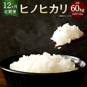 yӂ邳Ɣ[Łzy12JցzǑY qmqJ 5kg v60kg 5kg×12  12     F{Y Y BY 