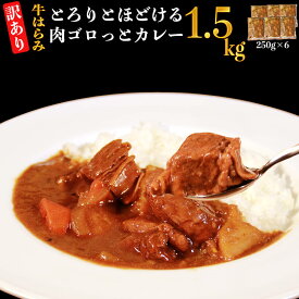 【ふるさと納税】【訳あり】具だくさん やわらか牛ハラミカレー 合計約1.5kg 約250g×6パック 牛ハラミ 牛 牛肉 本格カレー 小分け おかず 惣菜 簡単調理 お取り寄せ グルメ 冷凍 送料無料