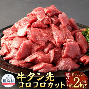 yӂ邳Ɣ[ŁzqIׂeʁr ^ RR Jbg v800g i400g×2Pj v1.2kgi400g×3Pj v2.0kgi400g×5Pj  ^ ^ TCRJbg TCY ЂƂ TCY