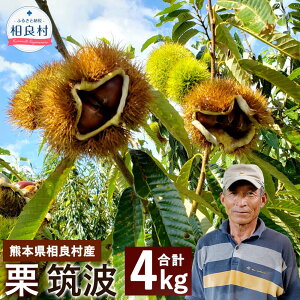 yӂ邳Ɣ[Łz\񁄌I }g 4kg 2kg×2 y2025N9{Jnz N  { a BY F{Y ǑY ʕ t[c \ ①z  yVX[p[SALE 9J