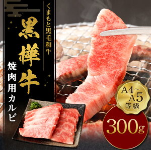 記事ID36921のサムネイル画像