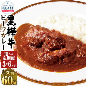 【ふるさと納税】【3ヶ月、6ヶ月定期便】黒樺牛ビーフカレー 1回計2kg（200g×10パック） 黒毛和牛 牛肉 牛 お肉 肉 和牛 バラ モモ 肩ロース スネ肉 牛テールスープ レトルトカレー 常温 熊本県産 国産 九州 熊本県 相良村 送料無料