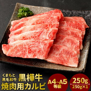 yӂ邳Ɣ[Łz܂ƍјa  A4`A5 ēpJr 250g Jr Ă a   јa Y BY F{Y Ⓚ 
