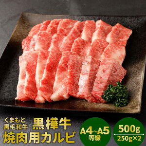 yӂ邳Ɣ[Łz܂ƍјa  A4`A5 ēpJr v500g 250g×2 Jr Ă a   јa Y BY F{Y Ⓚ 