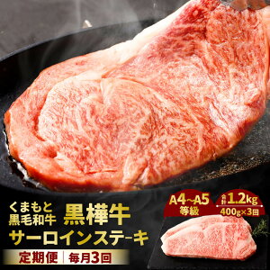 yӂ邳Ɣ[Łz3ց ܂ƍјa  A4`A5 T[CXe[L v1.2kg 400g×3 T[C a   јa Xe[L Y BY F{Y Ⓚ 