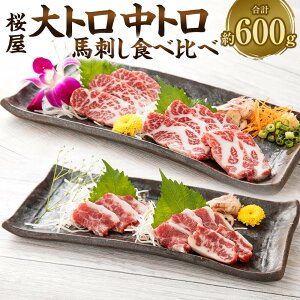 【ふるさと納税】【桜屋】大トロ・中トロ 馬刺し 食べ比べ 計約600g(各約300g) 2種類 専用醤油付き(150ml×1本) 馬肉 お肉 馬刺 セット 詰め合わせ しょうゆ ブロック お取り寄せ 冷凍 熊本