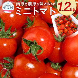 【ふるさと納税】川辺川育ち ミニトマト 1.2kg 相良村産 国産 熊本県産 トマト プチトマト 野菜 旬 とまと 冷蔵/常温 送料無料 【2027年1月下旬～3月下旬発送予定】