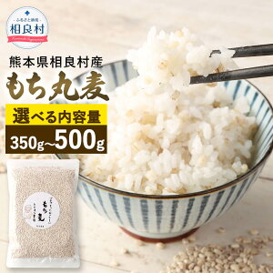 yӂ邳Ɣ[ŁzyIׂeʁz۔ 350g 500g тɂT_ɂI `` v`v` H H@  ނ ۔ ͂ G G 퉷 ǑY Y F{Y 