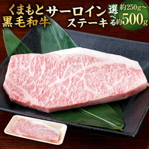 【ふるさと納税】<選べる 容量>くまもと黒毛和牛 サーロインステーキ 約250g/約500g(約250g×2) 牛肉 ステーキ サーロイン 九州産 国産 熊本県産 お肉 冷凍 送料無料
