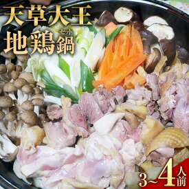 【ふるさと納税】くまもと直送 天草大王 地鶏鍋セット（3～4人前） 熊本地鶏 地鶏 鶏肉 肉 お肉 ぶつ切り肉 カット肉 つみれ だご麺 スープ付き スープ 地鶏鍋 鍋 鍋セット 冷凍 熊本県産 九州産 お取り寄せ グルメ 国産 熊本県 相良村 送料無料