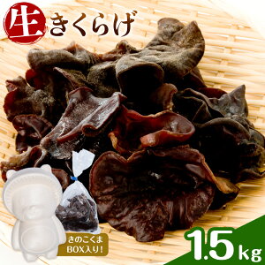 yӂ邳Ɣ[Łz炰 1kg 1.5kg TYƗL s30ȓɏoח\(yj)tF{ S R] 炰 ̂ 