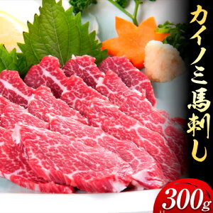 yӂ邳Ɣ[Łznh L̐g(JCm~) 300g R]ijs30ȓɏoח\(yj)t F{ R]   n n JCm~ ~ Ԑg