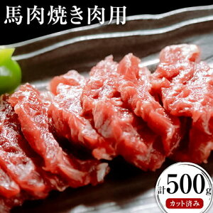 yӂ邳Ɣ[Łznēp 500g Jbg s30ȓɏoח\(yj)t  n ē