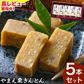 【ふるさと納税】熊本県山江村産 やまえ栗きんとん5本セット 有限会社 やまえ堂 やまえ栗 おせち 和菓子 スイーツ 栗 くり《60日以内に出荷予定(土日祝除く)》