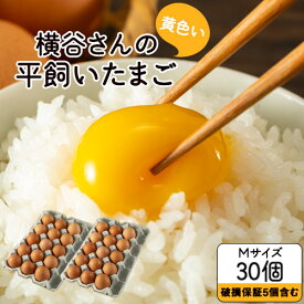 【ふるさと納税】横谷さんの平飼いたまご Mサイズ30個入り 破損保証5個含む 山江村ヤマメ生産組合《30日以内に出荷予定(土日祝除く)》