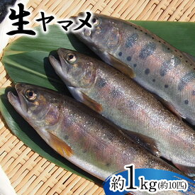 【ふるさと納税】生ヤマメ 1kg 約10匹 山江村ヤマメ生産組合《30日以内に出荷予定(土日祝除く)》ヤマメ 山女魚 山女 魚介類 魚 生鮮品 送料無料 冷蔵便