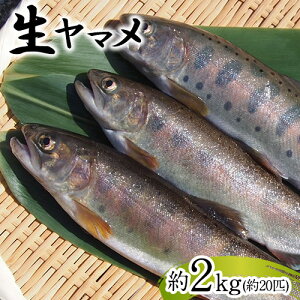 yӂ邳Ɣ[Łz} 2kg 20C R]}Ygs30ȓɏoח\(yj)t} R R 2kg 20C   Ni  ①