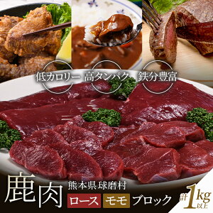 yӂ邳Ɣ[ŁzVJ [XEubNi1kgȏjF{   WrG [Xg J[ g g Jc Jc e   ubN  wV[ FKP9-001