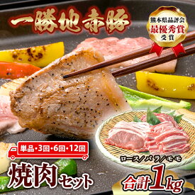 【ふるさと納税】＜定期便も選べる＞熊本県 球磨村 農林水産大臣賞受賞 一勝地赤豚 焼肉セット 1kg 定期便 1回 3回 6回 12回 FKP9-137var