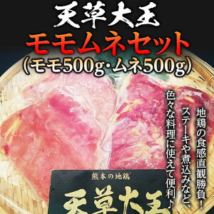 yӂ邳Ɣ[ŁzV剤@lZbg(500gEl500g) FKP9-334