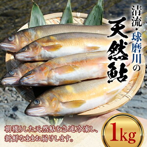 yӂ邳Ɣ[Łz̓VR 1kg  A  Ă 싛  CN Ⓚ FKP9-365