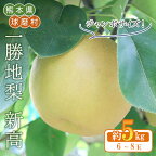 《先行予約》 一勝地梨 新高／約5kg 6～8玉 熊本県 球磨村 なし フルーツ 期間限定 にいたか ジャンボ梨 果物 くだもの 旬の果物 デザート 数量限定 FKP9-474