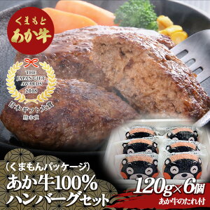 yӂ邳Ɣ[Łz܃pbP[W100no[OZbg(120g×6) FKP9-504