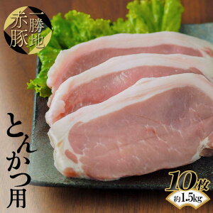 yӂ邳Ɣ[Łz ꏟnԓ Ƃ񂩂p 10i1.5kgj FKP9-525