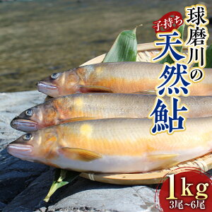 yӂ邳Ɣ[Łz̓VR (q) 1kg  A  Ă 싛  CN Ⓚ FKP9-526