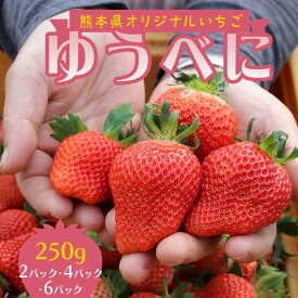 【ふるさと納税】【選べる容量】【先行予約】球磨村産いちご ／ ゆうべに 1箱 (250g×2パック) ／ 2箱 (250g×4パック) ／ 3箱(250g×6パック) FKP9-539var