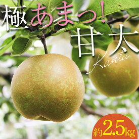 【ふるさと納税】【先行予約】 極あまっ！甘太 (約2.5kg) ナシ なし 梨 和梨 和なし 和ナシ ブランド梨 FKP9-651
