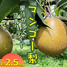 【ふるさと納税】《先行予約》 マンゴー梨（王秋梨） 約2.5kg 熊本県 球磨村 なし ナシ 和梨 和なし 和ナシ ブランド梨 フルーツ 梨 期間限定 果物 くだもの 旬の果物 デザート 数量限定 FKP9-652