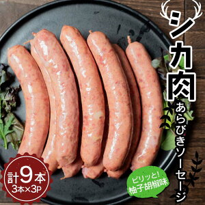 yӂ邳Ɣ[Łz VJ т\[Z[W MqӞi9{j ܂   WrG Hi FKP9-669