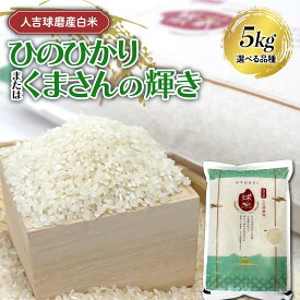 【ふるさと納税】 ＼選べる品種／ 【令和7年度産】人吉球磨産白米 5kg ひのひかり or くまさんの輝き 新米 白米 精米 ふっくら 国産米 おすすめ 農家 FKP9-678var