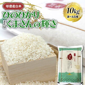 【ふるさと納税】 \選べる品種/ 【令和7年度産】球磨産白米 計10kg ひのひかり・くまさんの輝き 各5kg 新米 白米 精米 ふっくら 国産米 おすすめ 農家 FKP9-680var