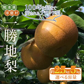 【ふるさと納税】 ＼選べる容量／《先行予約》一勝地梨 豊水・秋月・新興 約2.5kg（5～6玉）or 約5kg（8～14玉）ナシ なし 梨 和梨 和なし 和ナシ ブランド梨 果物 フルーツ 先行受付 熊本県 球磨村 FKP9-722var