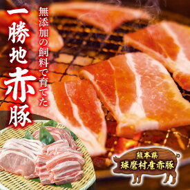 【ふるさと納税】熊本県 球磨村 農林水産大臣賞受賞 一勝地赤豚 焼肉セット 1kg