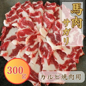 yӂ邳Ɣ[Łzy3znTK Jrēp(q) 300g n TK Jr ē q nĂy͂FmF30OŔz