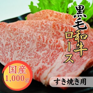 yӂ邳Ɣ[Łz@F{Y@јa[XĂp@1,000g @͂FmF20O yVX[p[SALE 9J