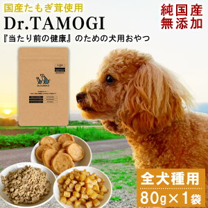 yӂ邳Ɣ[Łz  Y uDr.TAMOGI 80g×1܁vY hbOt[h   GS`GlC ̂ p Ic ybgt[h  p y͂