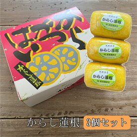 【ふるさと納税】あさぎり町の球磨伝承の味　からし蓮根3個セット 8000円 8千円 お届け時期：入金確認後20日前後