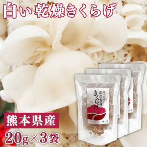 yӂ邳Ɣ[ŁzF{Y@炰20g×3܁@͂FmF20O@yLNQ / ؎ / Yz yVX[p[SALE 9J